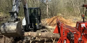 land clearing for spring projects montgomery ny