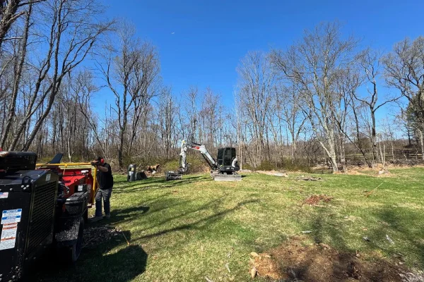 Equipment removing dense brush and overgrowth during a land clearing project
